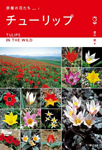 Botany - 【中古】チューリップ ヨーロッパ・アジア9カ国紀行/文一総合出版/冨山稔（単行本）