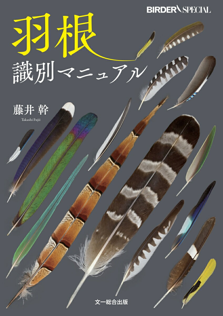 【中古】羽根識別マニュアル/文一総合出版/藤井幹（単行本）