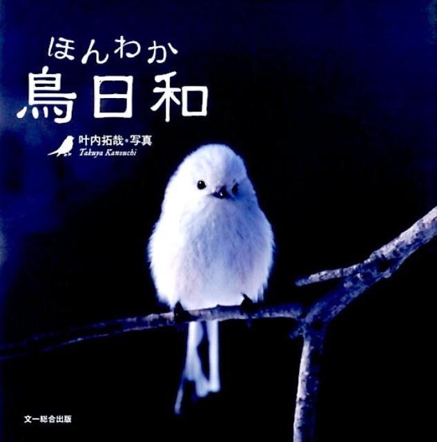【中古】ほんわか鳥日和 /文一総合出版/叶内拓哉（単行本）