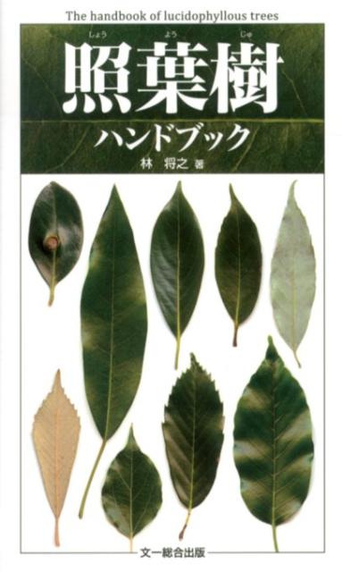 【中古】照葉樹ハンドブック /文一総合出版/林将之（新書）