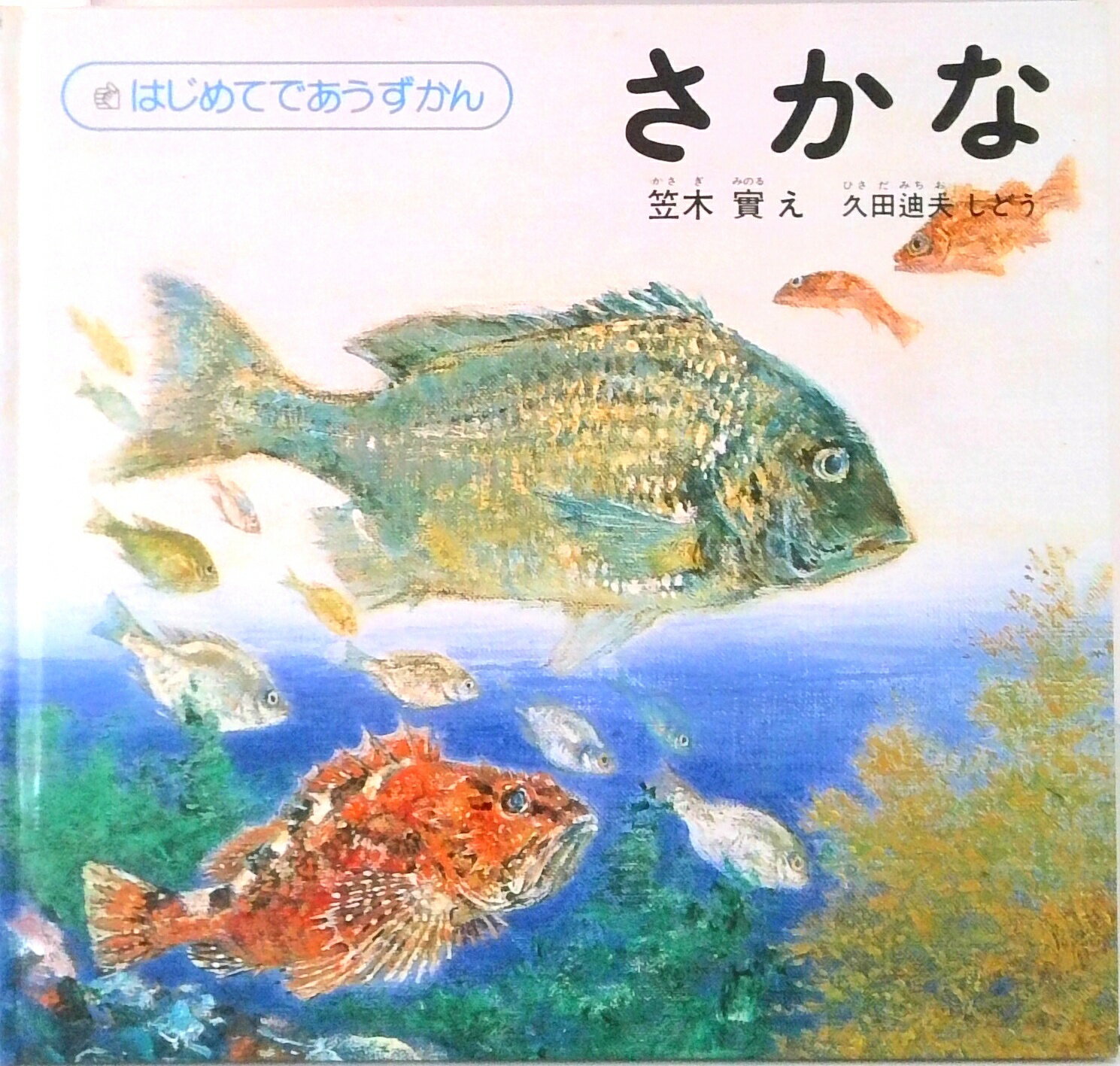 【中古】さかな /福音館書店/笠木実（単行本）