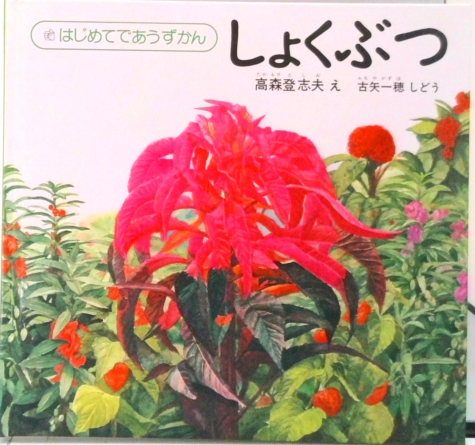 【中古】しょくぶつ /福音館書店/高森登志夫（ハードカバー）