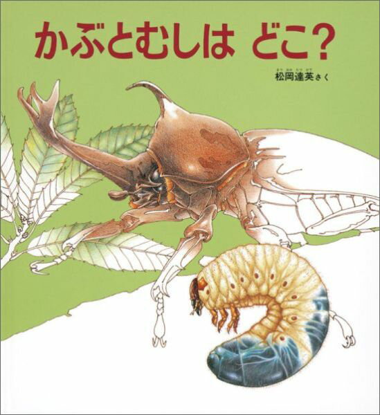 【中古】かぶとむしはどこ？ /福音館書店/松岡達英（単行本）