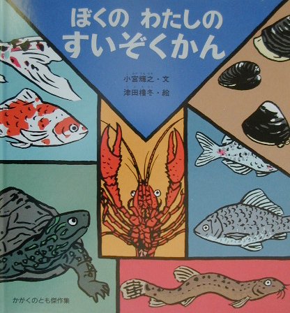 【中古】ぼくのわたしのすいぞくかん /福音館書店/小宮輝之（大型本）