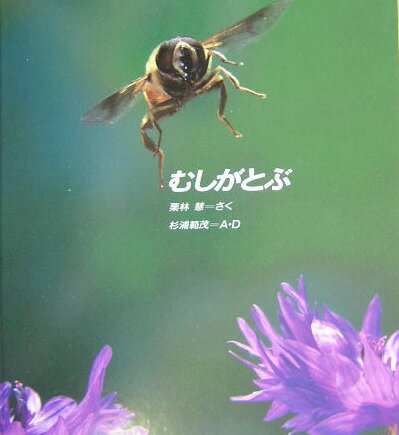【中古】むしがとぶ/福音館書店/栗林慧（単行本）