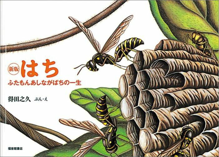 【中古】はち ふたもんあしながばちの一生 新版/福音館書店/得田之久（単行本）