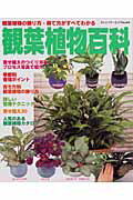 【中古】観葉植物百科 観葉植物の飾り方・育て方がすべてわかる/ブティック社（ムック）