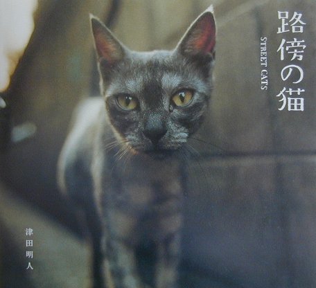 Rakuten - 【中古】路傍の猫 /メディアファクトリ-/津田明人（単行本）