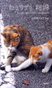 【中古】ねこサプリ相棒 人によく効くNEKO-PHOTO 175 /雷鳥社/LOVE CAT 44(単行本)
