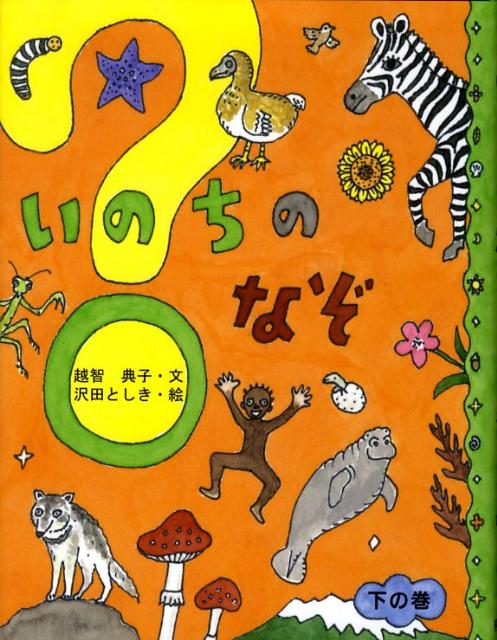 ◆◆◆非常にきれいな状態です。中古商品のため使用感等ある場合がございますが、品質には十分注意して発送いたします。 【毎日発送】 商品状態 著者名 越智典子、沢田としき 出版社名 朔北社 発売日 2008年04月 ISBN 9784860850623