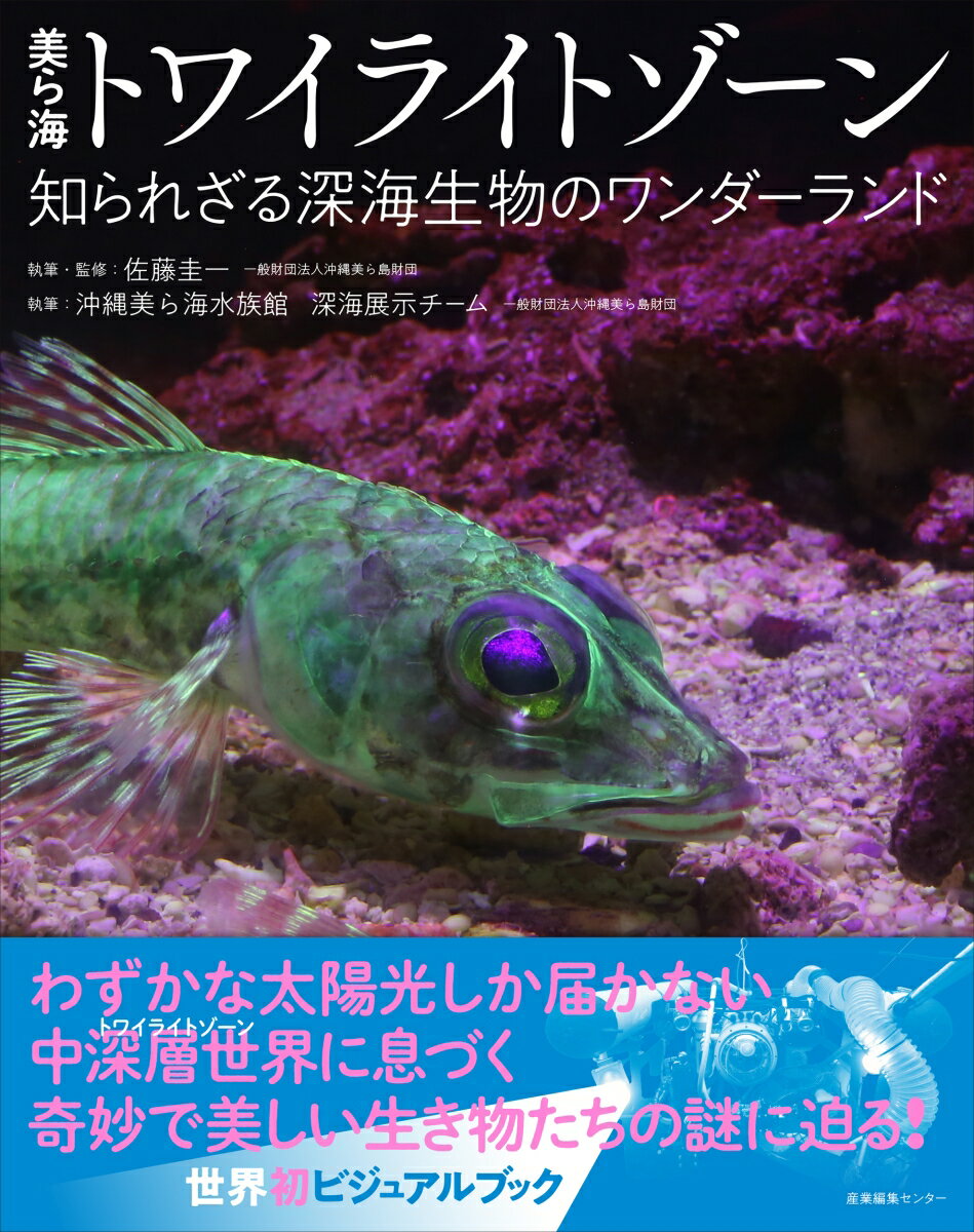 【中古】美ら海トワイライトゾーン　知られざる深海生物のワンダーランド/産業編集センタ-/佐藤圭一（単行本（ソフトカバー））