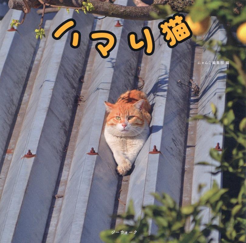 【中古】ハマり猫 /ジ-ウォ-ク（単行本）