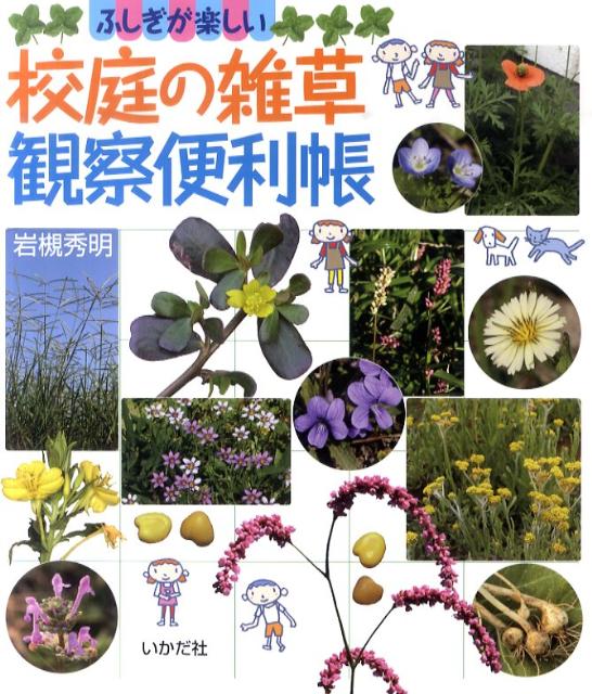 【中古】校庭の雑草観察便利帳 ふしぎが楽しい /いかだ社/岩槻秀明（単行本）