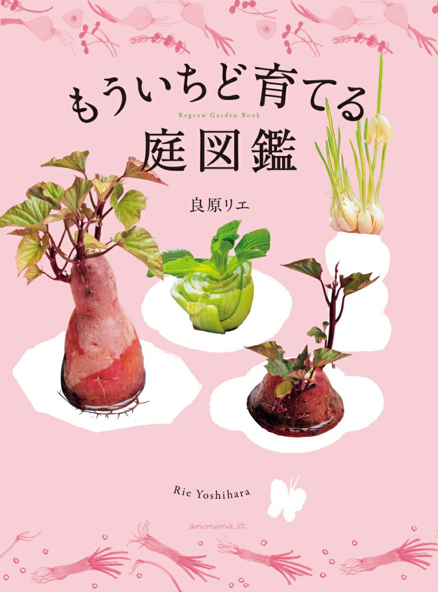 ◆◆◆非常にきれいな状態です。中古商品のため使用感等ある場合がございますが、品質には十分注意して発送いたします。 【毎日発送】 商品状態 著者名 良原リエ 出版社名 KTC中央出版 発売日 2024年07月21日 ISBN 9784877588632