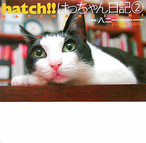 【中古】Hatch！！ はっちゃん日記 2/青心社/八二一（単行本）