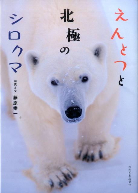 【中古】えんとつと北極のシロクマ /少年写真新聞社/藤原幸一（大型本）