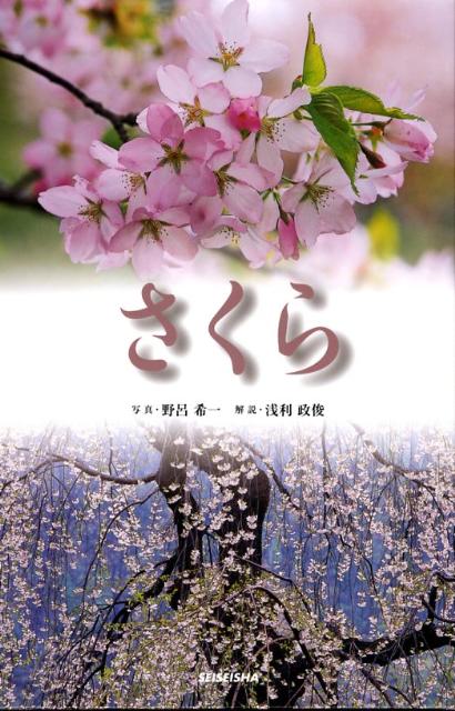 【中古】さくら /青菁社/野呂希一（単行本）