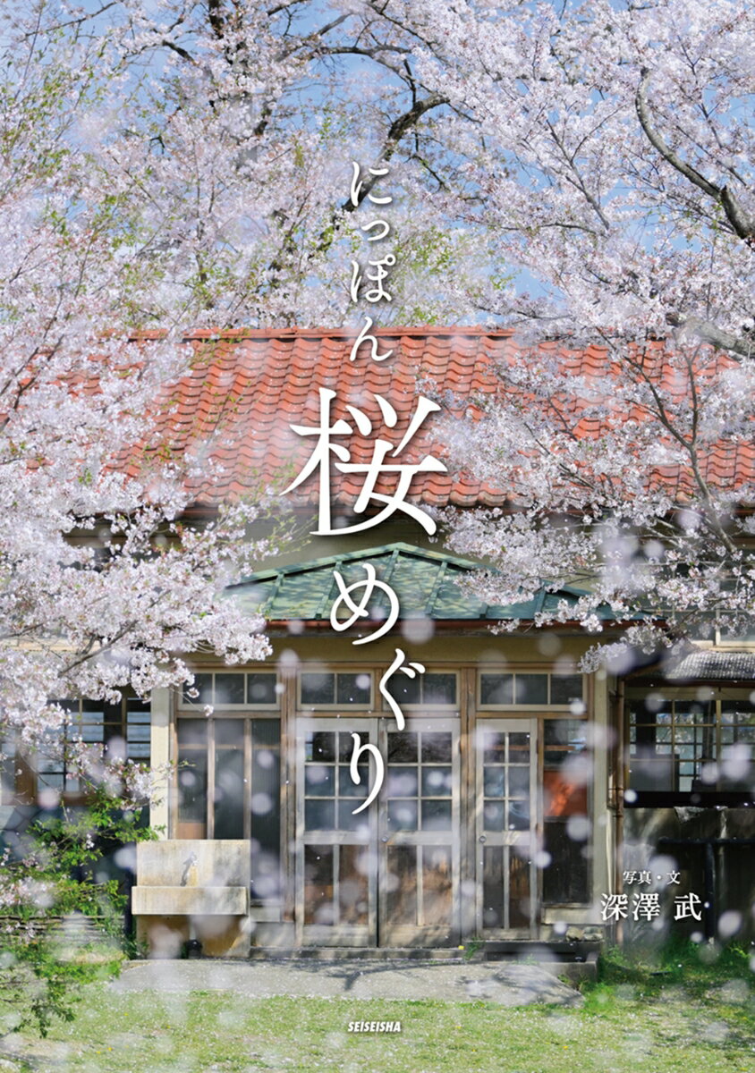 【中古】にっぽん桜めぐり/青菁社/深澤武（単行本（ソフトカバー））