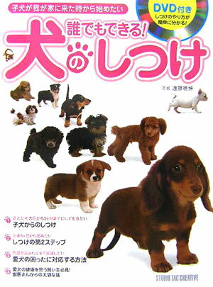 ◆◆◆おおむね良好な状態です。中古商品のため使用感等ある場合がございますが、品質には十分注意して発送いたします。 【毎日発送】 商品状態 著者名 遠藤暁博 出版社名 スタジオタッククリエイティブ 発売日 2005年10月 ISBN 9784883932108