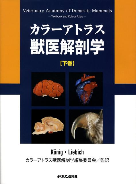 楽天市場】実験動物の断面解剖アトラス ラット編の通販