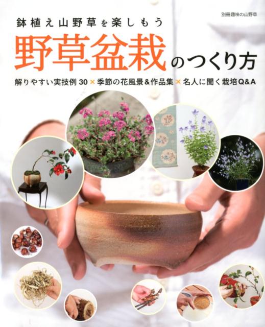 【中古】野草盆栽のつくり方 鉢植え山野草を楽しもう/栃の葉書房（ムック）