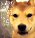 【中古】ぼくらは簡単なことばで出来ている 旅する柴犬まめのポラロイド写真詩集 /パルコ出版/西真智子(単行本)
