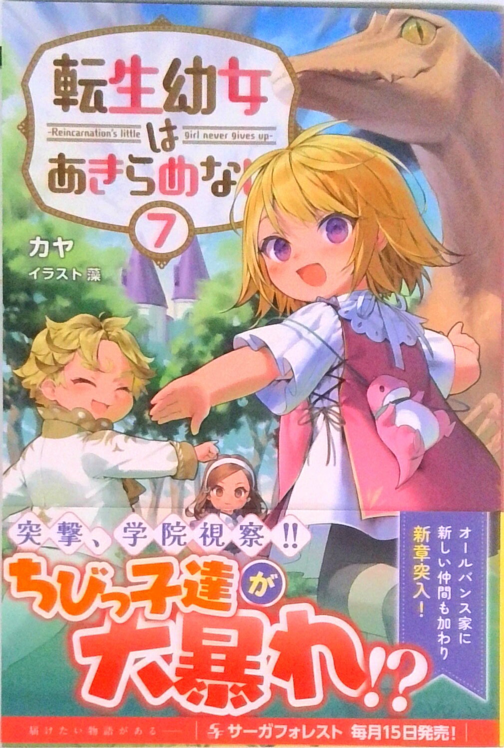 šžĽϤʤ Reincarnationslittlegi 7 /󻰽˼/ñܡʥեȥСˡ