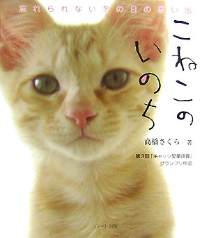 【中古】こねこのいのち 忘れられない冬の日の思い出 /ハ-ト出版/高橋さくら（単行本）