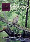 【中古】シマフクロウ /北海道新聞社/山本純郎（大型本）