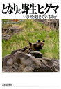 【中古】となりの野生ヒグマ いま何が起きているのか /北海道新聞社/北海道新聞野生生物基金(単行本)