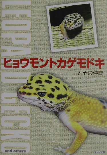 【中古】ヒョウモントカゲモドキとその仲間/エムピ-ジェ-/江島勝康（単行本）