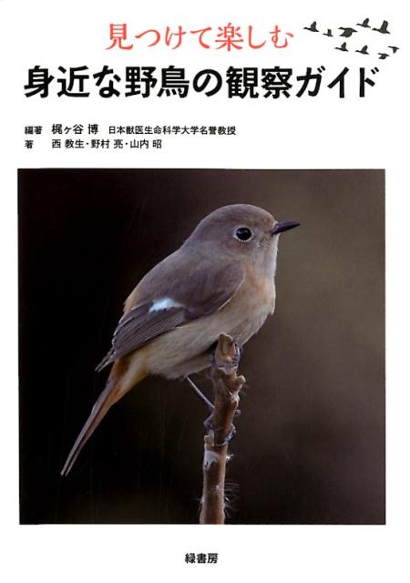 【中古】見つけて楽しむ身近な野鳥の観察ガイド /緑書房（中央区）/梶ヶ谷博（単行本）