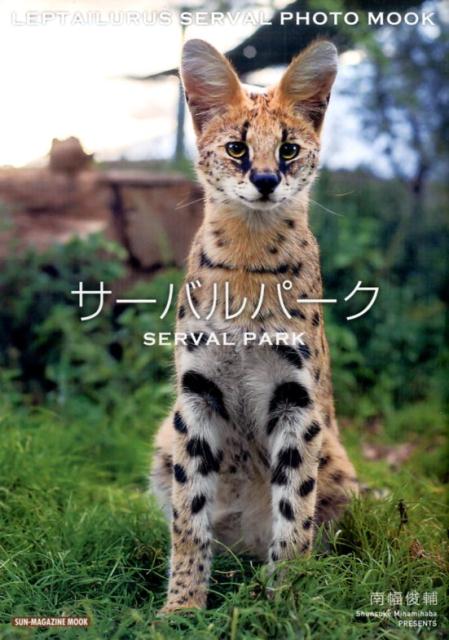 ◆◆◆非常にきれいな状態です。中古商品のため使用感等ある場合がございますが、品質には十分注意して発送いたします。 【毎日発送】 商品状態 著者名 南幅俊輔 出版社名 マガジン・マガジン 発売日 2017年4月3日 ISBN 9784896443196