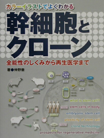 【中古】幹細胞とクロ-ン 全能性のしくみから再生医学まで/羊土社/仲野徹（単行本）