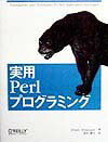 【中古】実用Perlプログラミング /オライリ-・ジャパン/スラリム・スリニバサン（単行本）