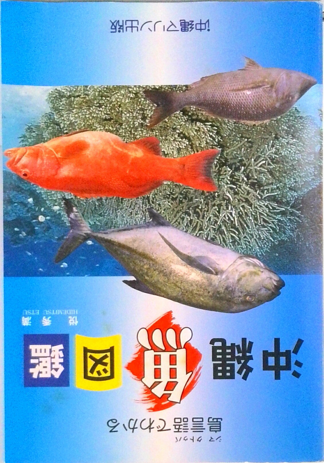 商品画像