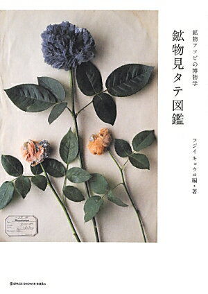 【中古】鉱物見タテ図鑑 鉱物アソビの博物学 /スペ-スシャワ-ネットワ-ク/フジイキョウコ（単行本）