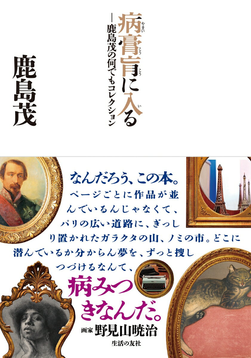 【中古】病膏肓に入る 鹿島茂の何でもコレクション /生活の友社（中央区）/鹿島茂（単行本）