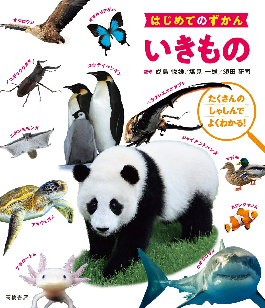 【中古】どうぶつ/高橋書店/成島悦雄（単行本（ソフトカバー））