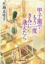 【中古】甲子園でもう一度きみに逢えたら/文芸社/片瀬真唯子(文庫)