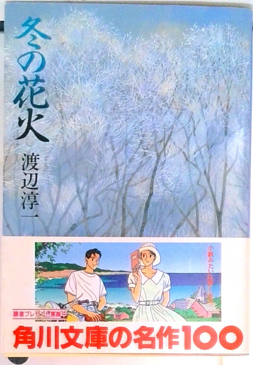 【中古】冬の花火/角川書店/渡辺淳一（文庫）