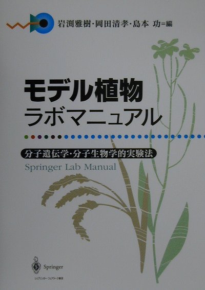 【中古】モデル植物ラボマニュアル 分子遺伝学・分子生物学的実験法/シュプリンガ-・ジャパン/岩淵雅樹（単行本）