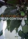 【中古】コンテナで楽しむハ-ブ デザインの仕方と育て方/山と渓谷社/大久保弘子（単行本）