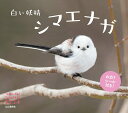 【中古】白い妖精シマエナガカレンダー 2025/山と渓谷社(カレンダー)