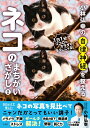 【中古】小林弘幸の自律神経を整えるネコのまちがいさがし 2/宝島社/小林弘幸(小児外科学)(単行本)