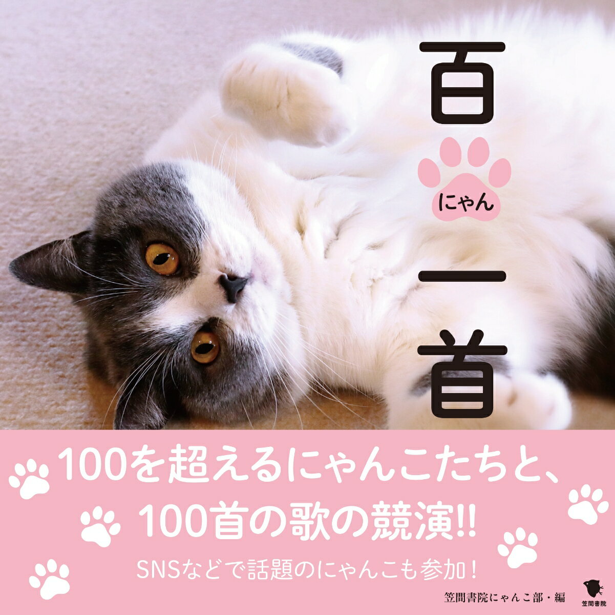 ◆◆◆おおむね良好な状態です。中古商品のため使用感等ある場合がございますが、品質には十分注意して発送いたします。 【毎日発送】 商品状態 著者名 笠間書院にゃんこ部 出版社名 笠間書院 発売日 2024年12月05日 ISBN 9784305710291