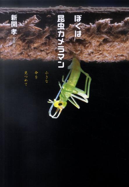 【中古】ぼくは昆虫カメラマン 小さな命を見つめて/岩崎書店/新開孝（単行本）