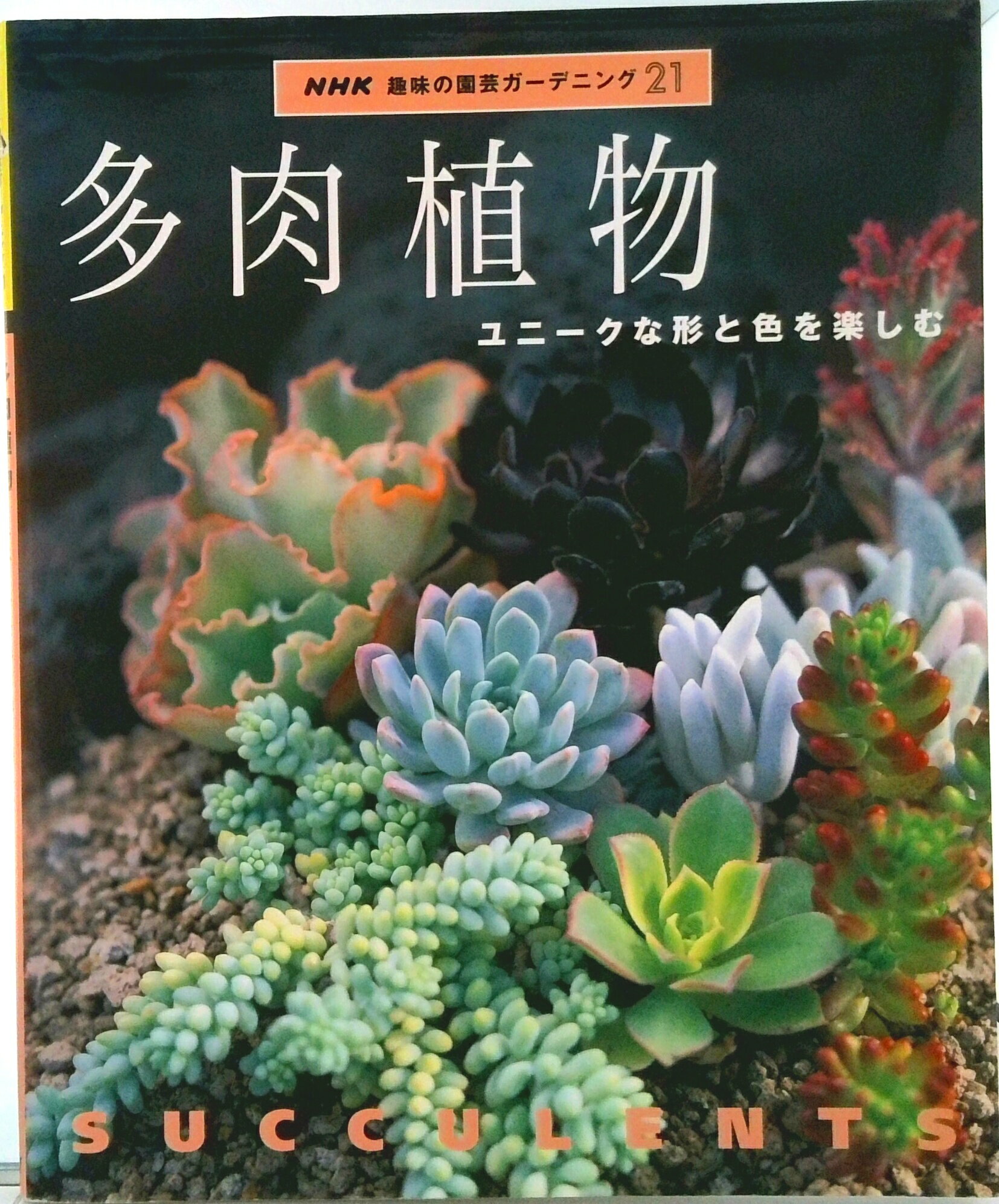 【中古】多肉植物 ユニ-クな形と色を楽しむ/NHK出版（ムック）