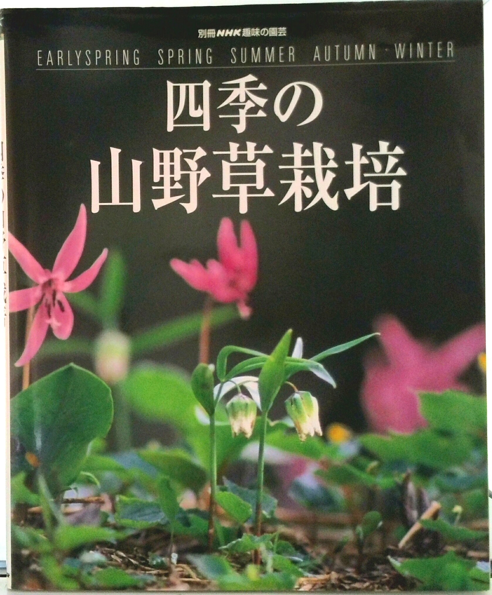 【中古】四季の山野草栽培/NHK出版（ムック）