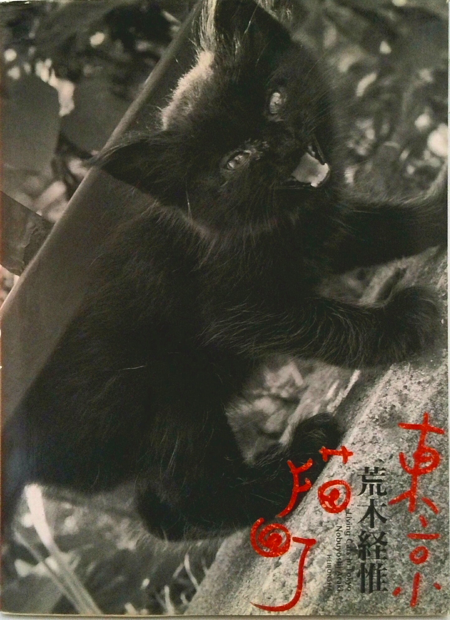 【中古】東京猫町/平凡社/荒木経惟（ペーパーバック）